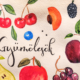 Gyümölcsök - Akvarell festés kezdőknek