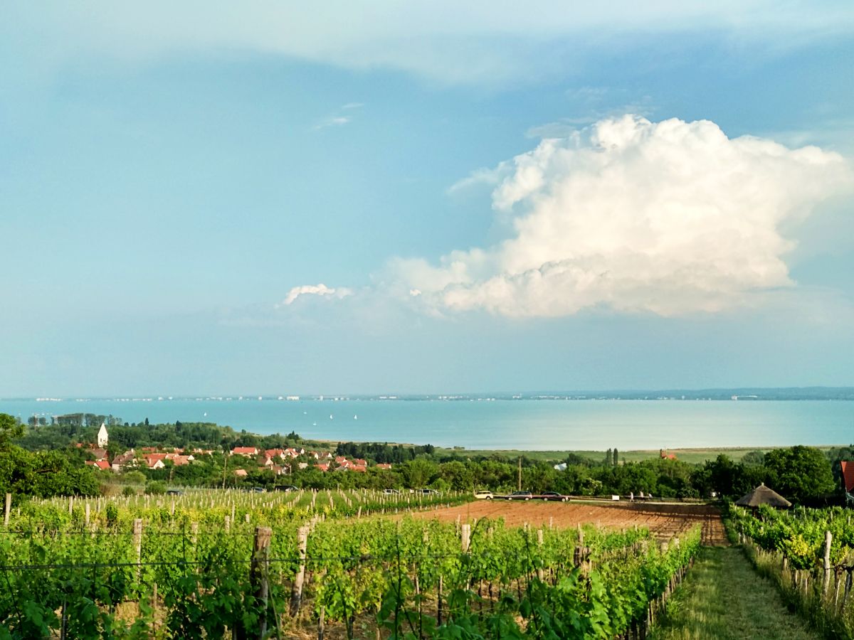 Valahol a Balaton keleti medencében esik az eső - az Olyanjó fotója
