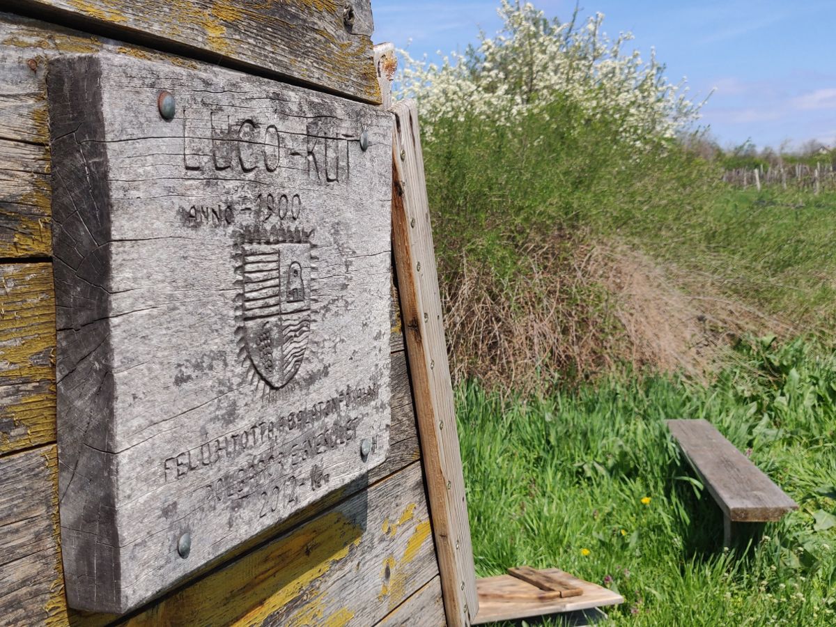A Lucó-kútból állítólag bor folyik. Sajnos nem volt lehetőségünk megkóstolni. - Balatonfőkajári Kvarcfillit Formáció - az Olyanjó! fotója