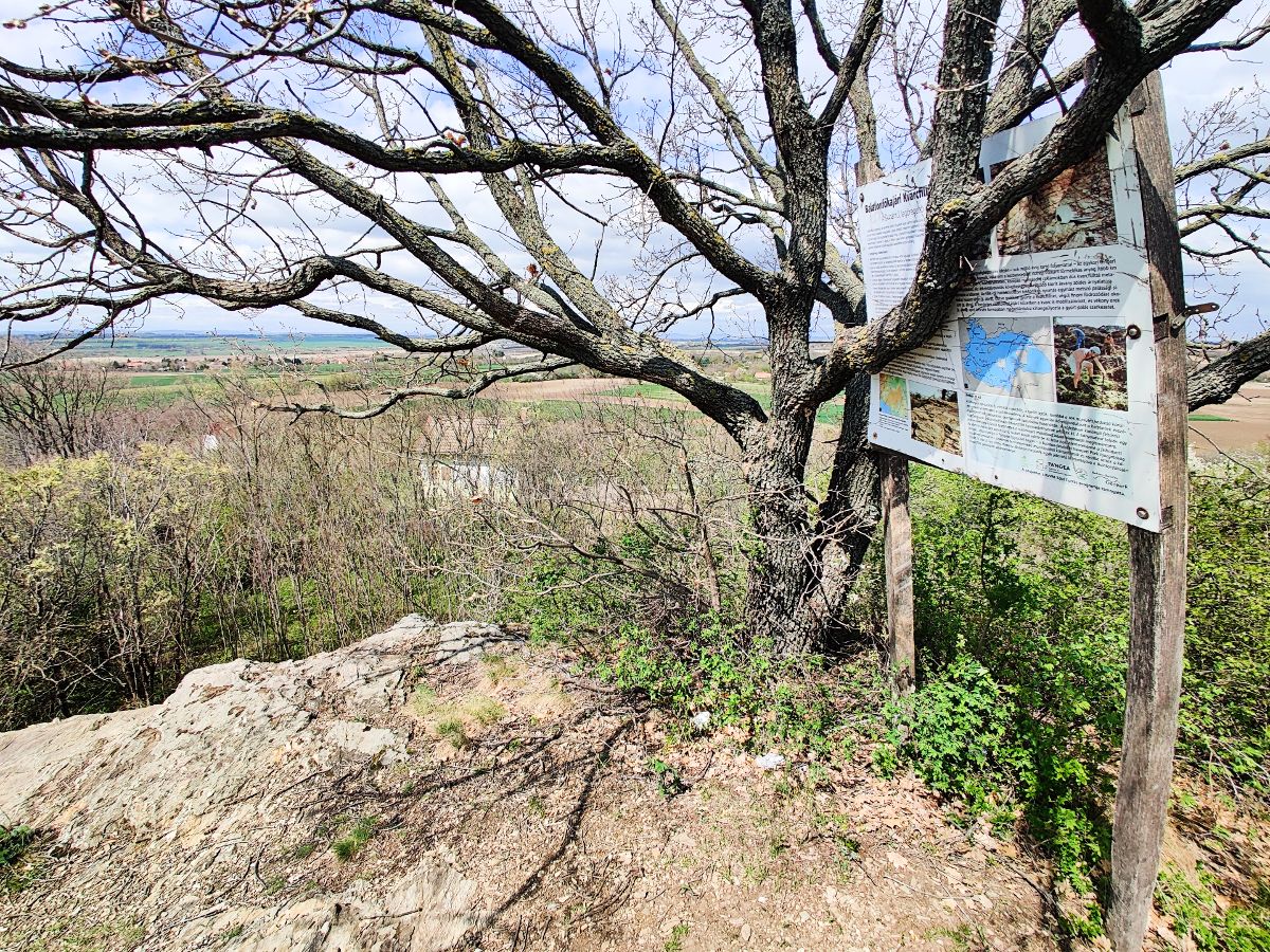 A tájékoztató táblát már csak a szentlélek (és egy fa) segíti talpon maradni - Balatonfőkajári Kvarcfillit Formáció - az Olyanjó! fotója