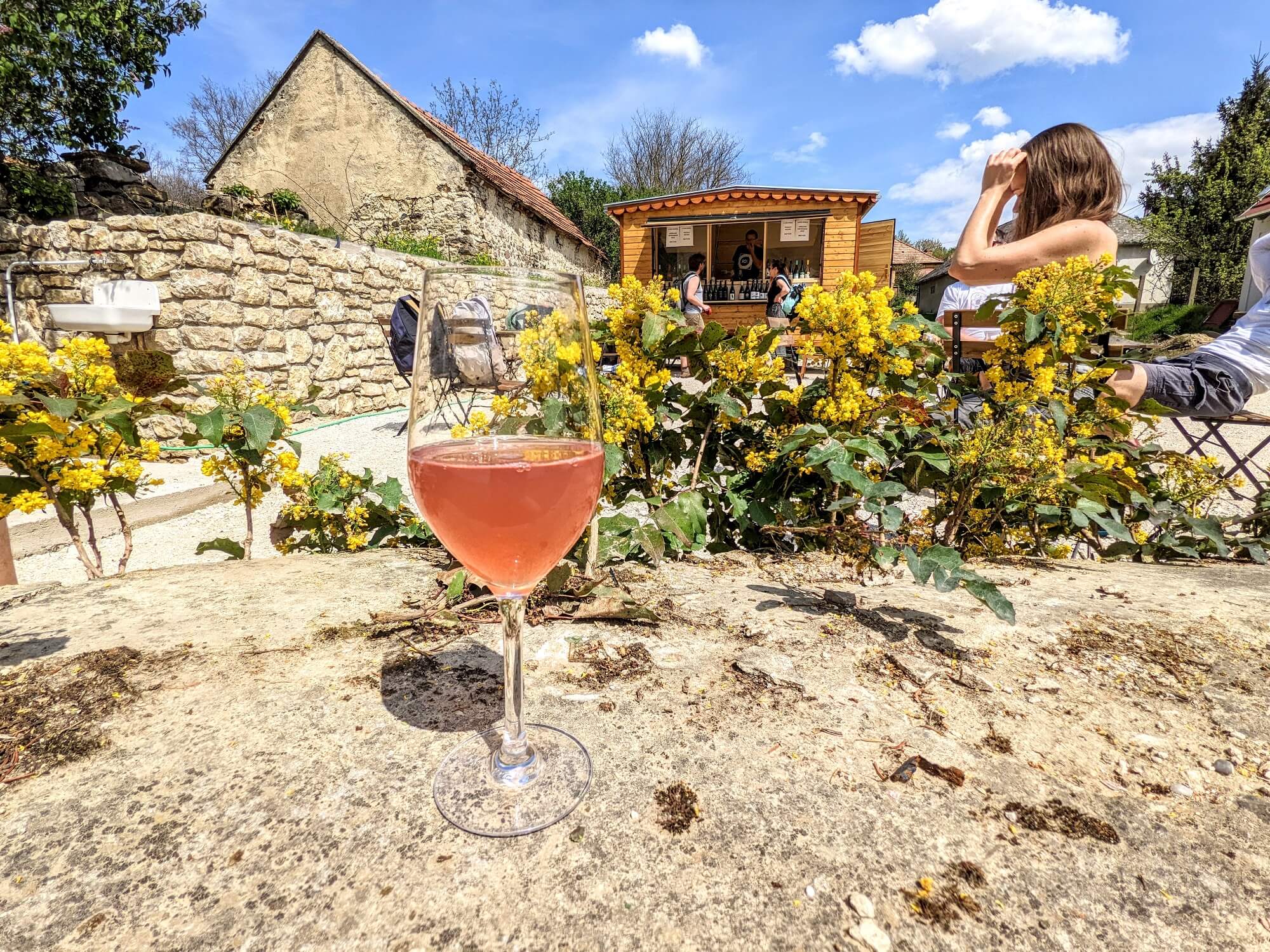 Szőlőlé alkoholmentes verzióban - 10 Hektár Vinotéka - az Olyanjó! fotója